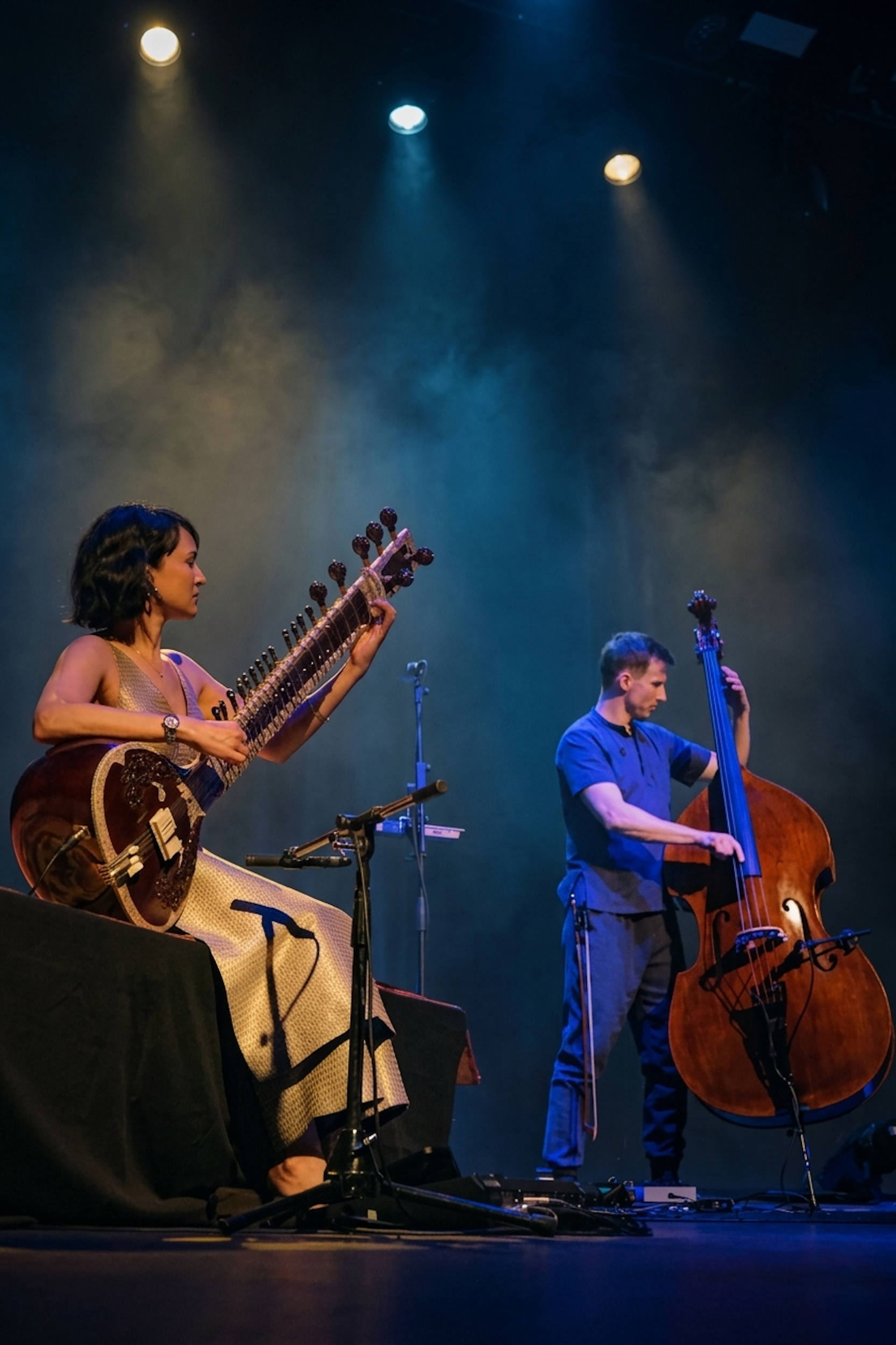 Anoushka Shankar - Concert for Santiago
