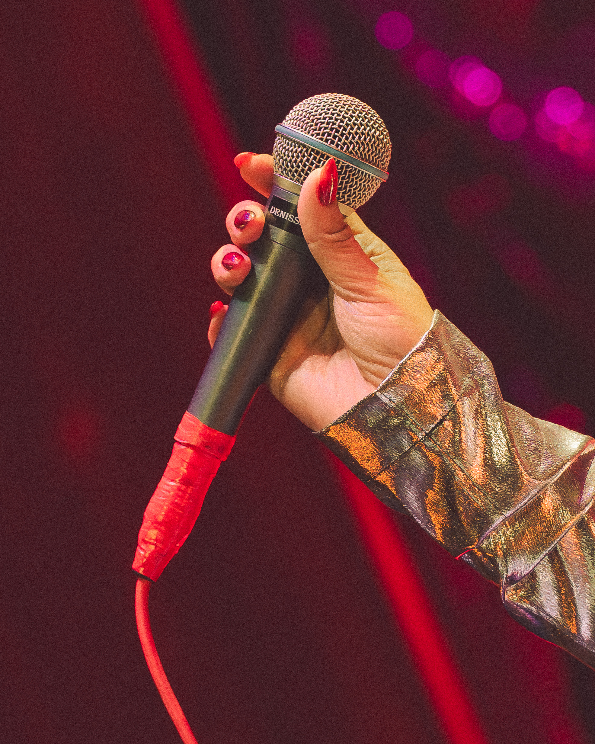 Denisse Malebrán - Lanzamiento ''Corazón Salvaje''