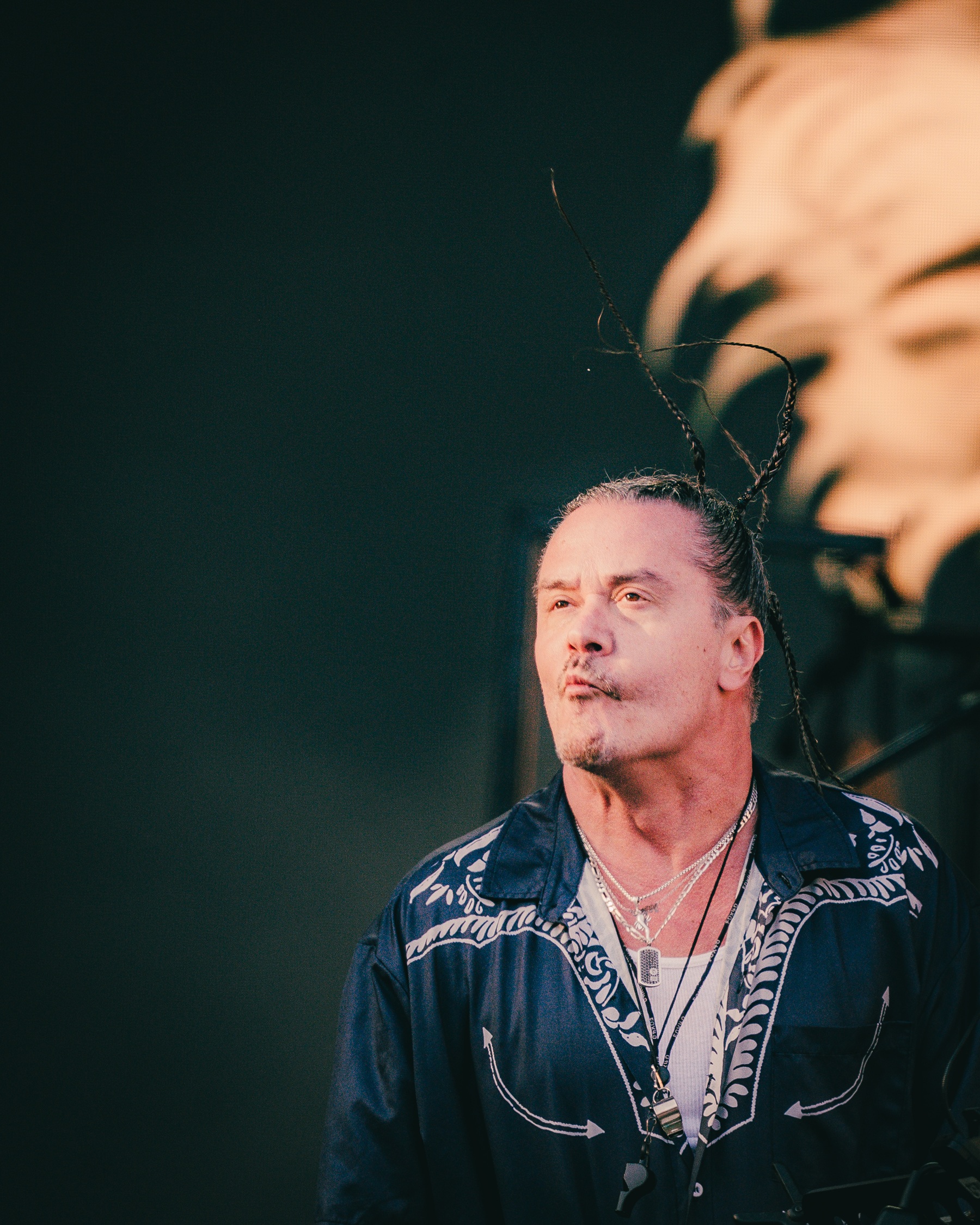 Mr.Bungle