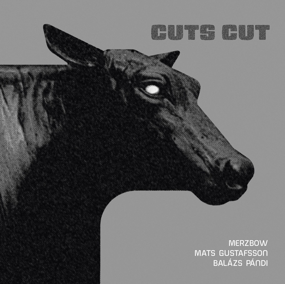 Merzbow, Mats Gustafsson & Balázs Pandi