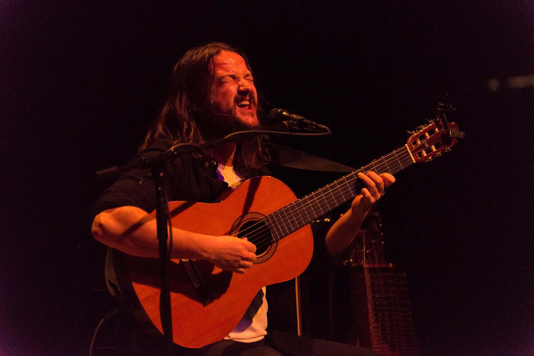 Troubadores: Un gran regalo